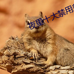 九游会登录j9入口 - 中国官方网站 | 真人游戏第一品牌