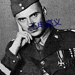 王申高義