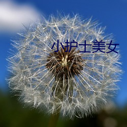 小护士美女(nǚ)