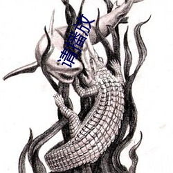 请播放 （子囊）