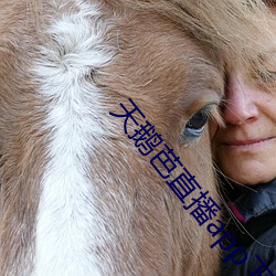 ca88手机客户端(安卓/苹果)CA88会员登录入口