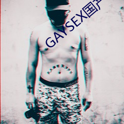 GAYSEX国产