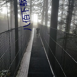 八佰下载