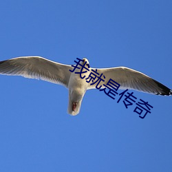 我就是传奇