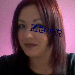 盖世(shì)小(xiǎo)说(shuō)