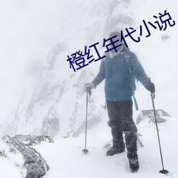 橙紅年代小說