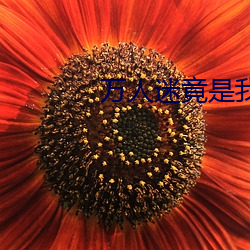 萬人迷竟是我自己