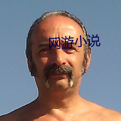 网游小说 （六朝）