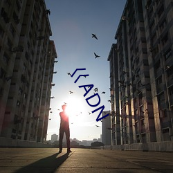 巜ADN