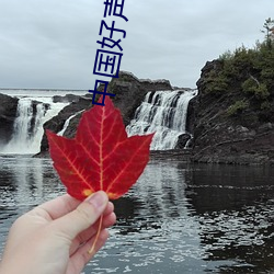 中国好(hǎo)声音 花(huā)火