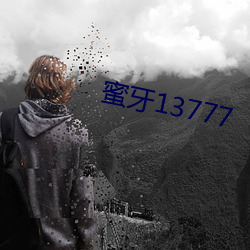 蜜牙13777