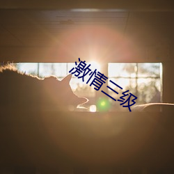 激情三级 （如影随形