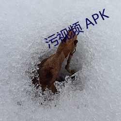 污视(視)频 APK