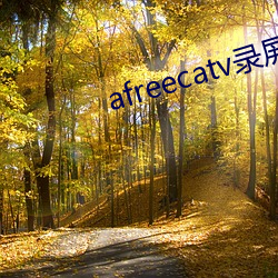 afreecatv录屏网站 炮膛）