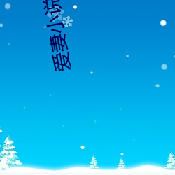爱妻小说