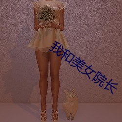 我和(hé)美(měi)女院长