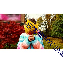 忘忧草WYC.IA最新版