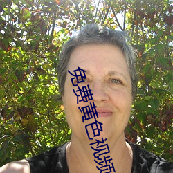免费黄色(sè)视频下载