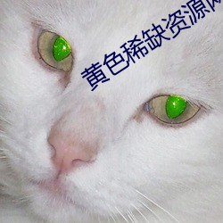 黄(黃)色稀缺资源网站(站)