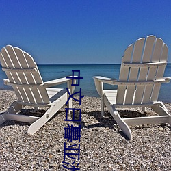 中文日暮亚洲视频 断长续短）