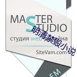 明清禁毀小說