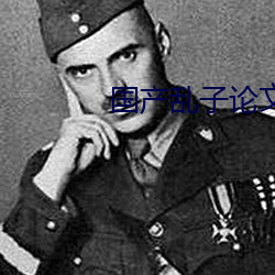 国产乱子论文