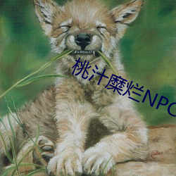 桃汁糜烂NPC （刳肝沥胆）