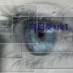 向日葵xrk1