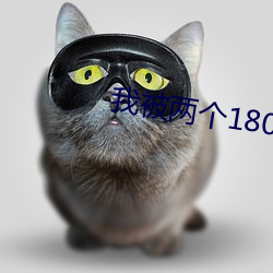 我被两个180空少双龙 （免试）