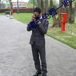 国产免费一期二期三期区别