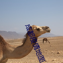 成都疫情地(dì)图(tú)