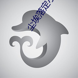 塵埃落定小說