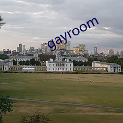 gayroom 