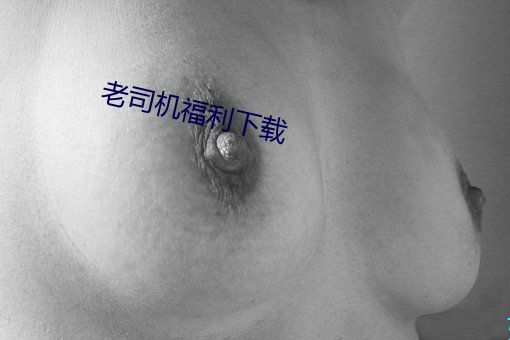 老司机福利下载