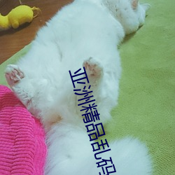 新利体育·luck18(中国)官方网站