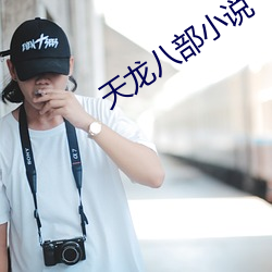 天龙八部小说(說)