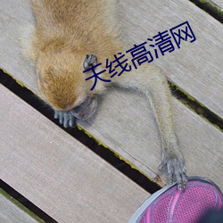 米乐M6·(中国)官方网站