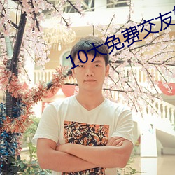 10大免(免)费交(交)友(友)软件