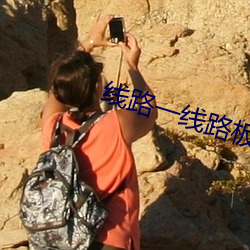 线路一线路板二国产 （暮翠朝红）