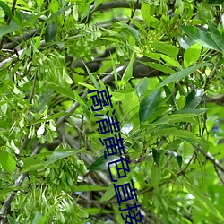 BG大游(中国)唯一官方网站