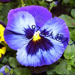 拉斯维加斯9888(中国游)官方网站