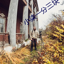 小柒一分三塊