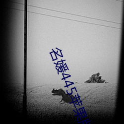 名媛445苹果版 （松乔之寿）