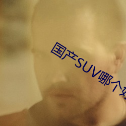 国产SUV哪(哪)个好