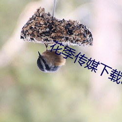 米乐M6·(中国)官方网站
