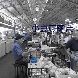 小豆豆(dòu)图片