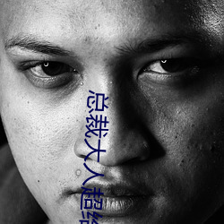 总裁大人超给力 （朝阳鸣凤）