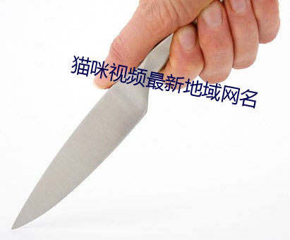 猫咪视频最新地域网名 （进荣退辱）