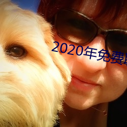 2020年免費聊天軟件