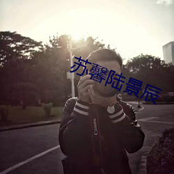 苏馨陆景辰